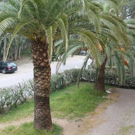 T2 Calvi Entierement Equipe A 150M De La Plage. Exterior photo