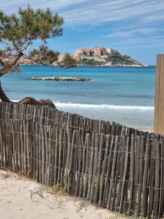 T2 Calvi Entierement Equipe A 150M De La Plage. Exterior photo